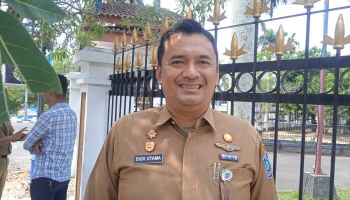 Artis Via Vallen Bakal Meriahkan HUT Babel ke 23