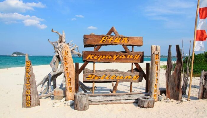 Menilik Penangkaran Penyu di Pulau Kepayang Belitung