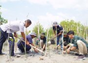 Penanaman Pohon PT Timah di Lahan Bekas Tambang