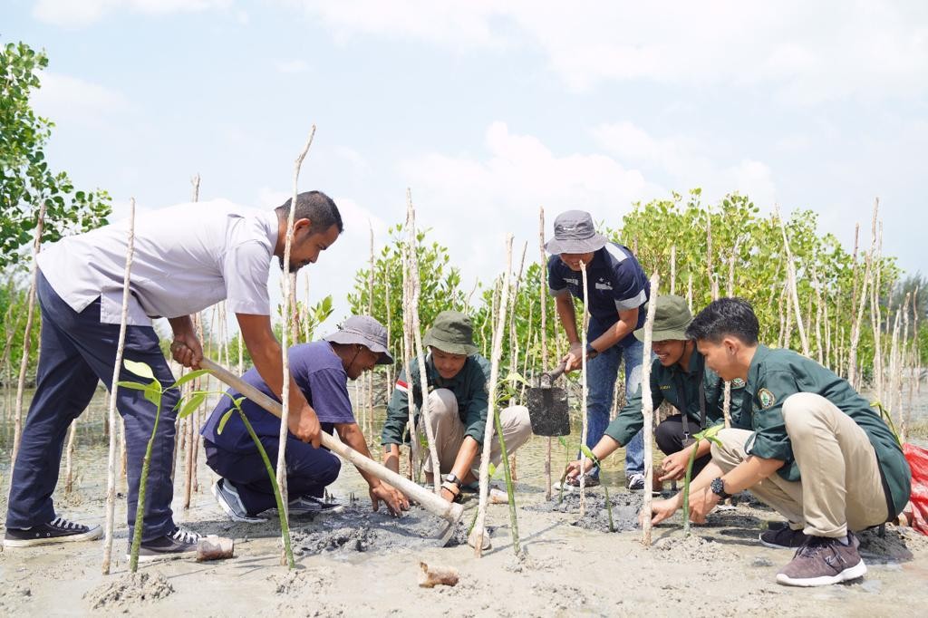 Penanaman Pohon di Lahan Bekas Tambang