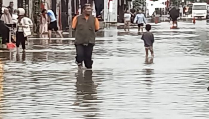 Hujan Lebat Intensitas 83.8 Milimeter Waspadai Hewan Melata Naik Ke Permukaan