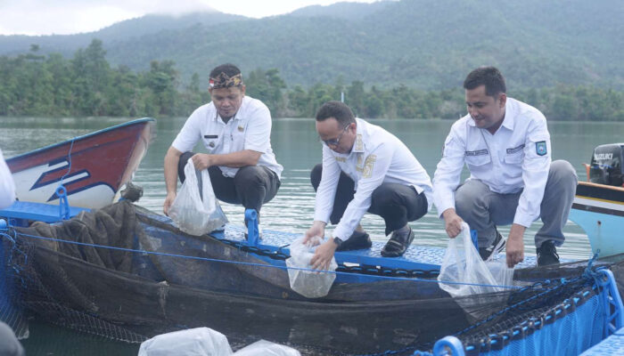 Bupati Bateng Tebarkan 2.000 Bibit Ikan Nila di Danau Pading