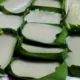 Kue Pelite Muntok