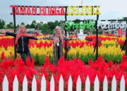 Temukan Keindahan Taman Celosia Spring Hill yang Mempesona
