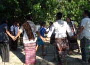Eksplorasi Keindahan Tari Bonet Nusa Tenggara Timur yang Memukau