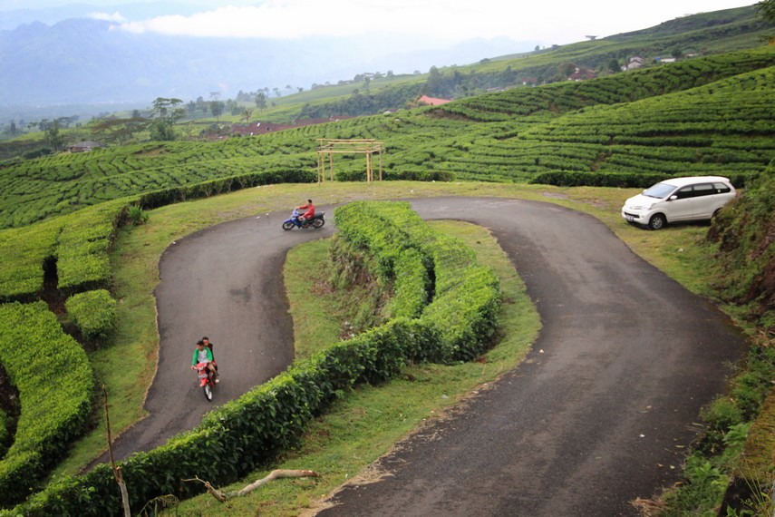 Pagar Alam