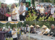 50.000 Bibit Cabai Merah