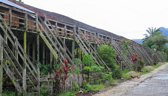 Rumah Betang: Simbol dan Identitas Budaya Dayak Kanayat’n