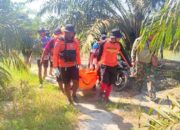 Tim SAR Evakuasi Samiun Korban Diterkam Buaya