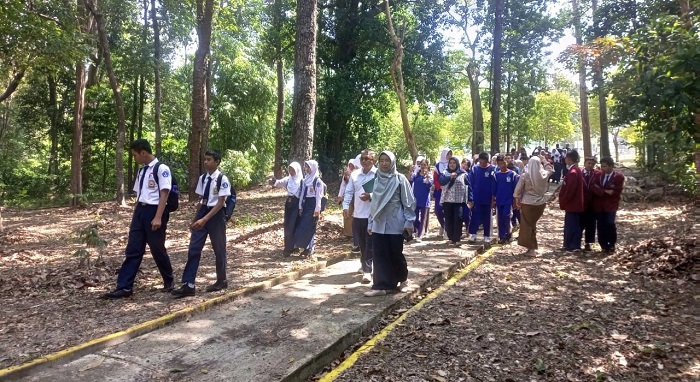 Kawasan Hutan