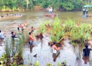 Nirok Nanggok: Tradisi Menangkap Ikan masyarakat Belitung
