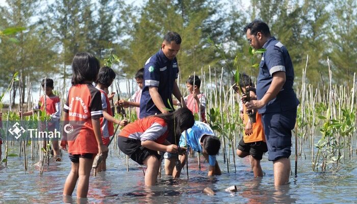 Peringati Hari Mangrove Sedunia, PT Timah Tanam 4800 Mangrove di Desa Baskara Bakti