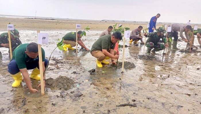 Kompak Bergerak Lestarikan Lingkungan, PT Timah Tanam Pohon