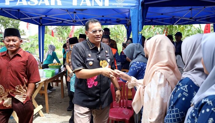 Pj Wali Kota Budi Utama Kunjungi Demplot KWT Melatih Putih