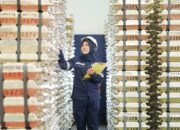 TINS Lunasi Obligasi dan Sukuk Tepat Waktu