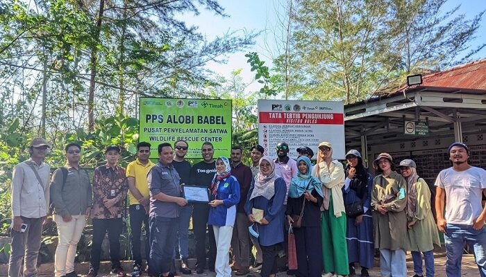 Mahasiswa The 2nd Unmuh Babel ISC 2024 Lihat Rehabilitasi Satwa yang Dilakukan PT Timah dan Yayasan Alobi