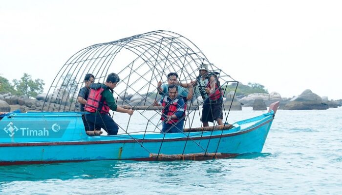 PT Timah Kembali Tenggelamkan 37 Unit Coral Garden di Pulau Putri