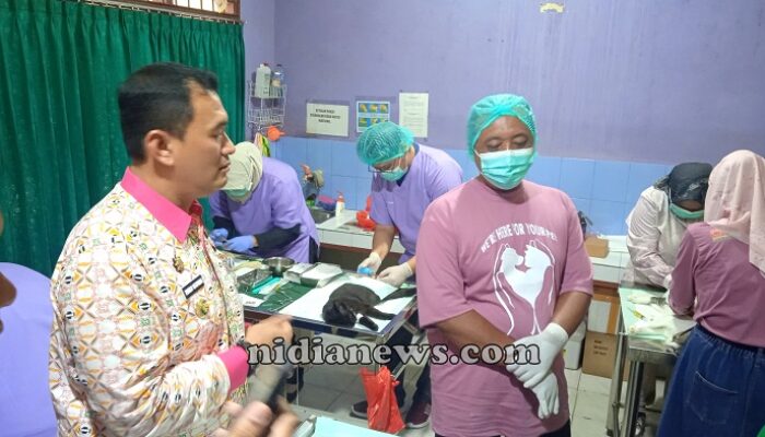 Pj Wako Budi Utama Hadiri Kastrasi Kucing Jantan Di Pangkalpinang