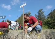PT Timah Terus Galakkan Penanaman Pohon