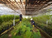 Menata Lahan Bekas Tambang dengan Konsisten Melakukan Reklamasi