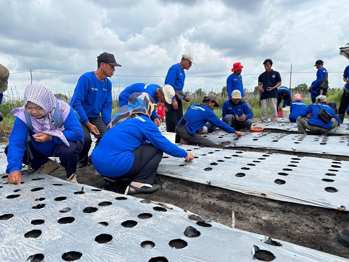 Belitung Timur