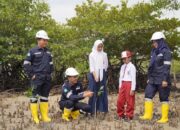 PT Timah Gencarkan Penanaman Mangrove