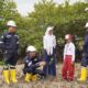 Penanaman Mangrove