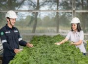 Langkah Hijau PT Timah, Pengelolaan Lingkungan untuk Masa Depan Berkelanjutan