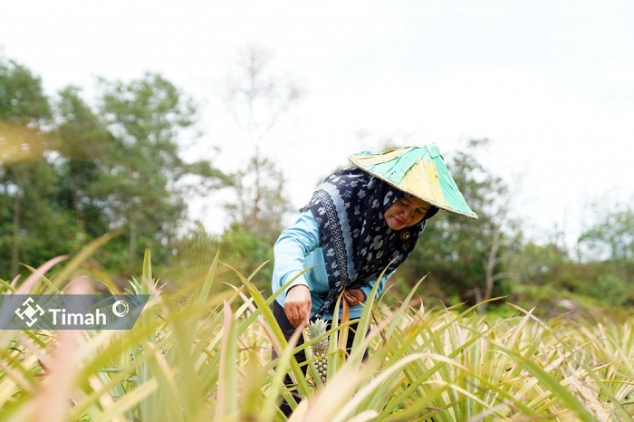 Kelompok Tani Aek Jelutung