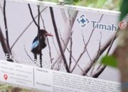 PT Timah Bersama Alobi Foundation Rehabilitasi Ratusan Satwa 