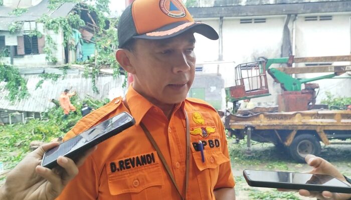 2 Pengendara Motor  Meninggal Dunia Tertimpa Pohon Tumbang