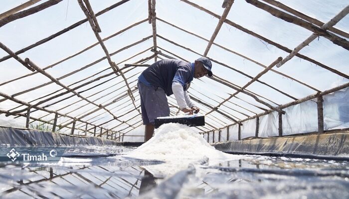 KUPS Garam Mudong Lestari Bangkit Berkat Dukungan PT Timah Tbk