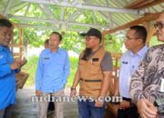 Budidaya Kambing Perah