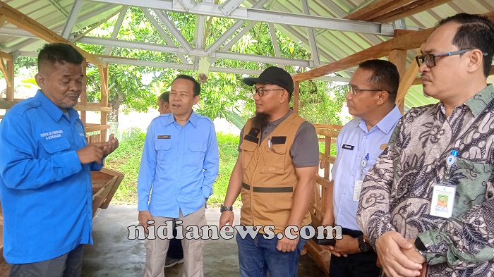 Budidaya Kambing Perah