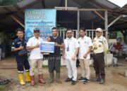 PT Timah Berikan Bantuan Pengembangan Kandang Ternak Kambing ke Kelompok Tani Berkah Makmur Desa Sekar Biru Parit Tiga