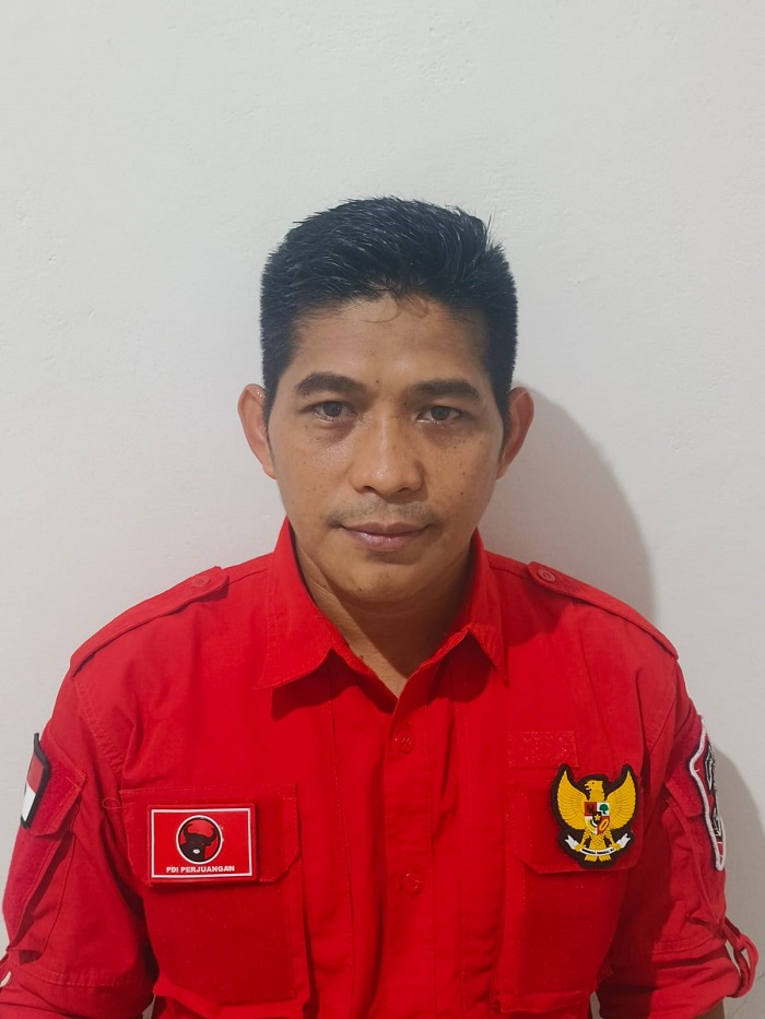 PDIP