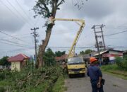 Cegah Kecelakaan, PT Timah dan PLN Lakukan Penebangan Pohon Berisiko di Kawasan Mentok
