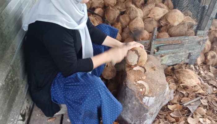 Dari Pakaian ke Peras Kelapa, Kisah Transformasi Usaha Nuriah bersama PT Timah