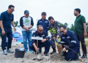Rangkaian Peringatan Bulan K3 Nasional PT Timah: Tanam 500 Pohon Buah di Kabupaten Bangka