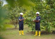 Reklamasi Berkelanjutan, Upaya PT Timah Jaga Ekosistem Pasca Tambang 