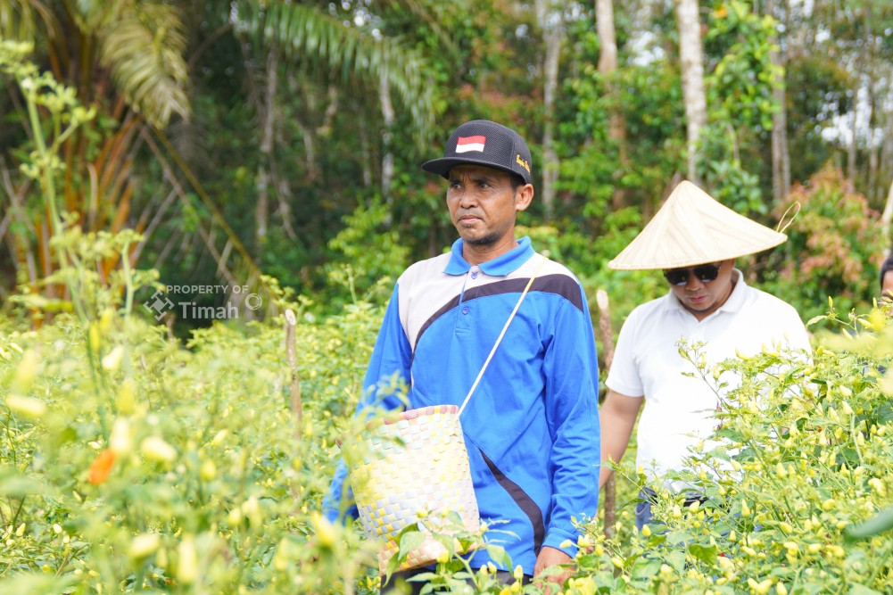 Gapoktan Sinar Baru