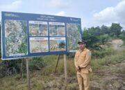 PT Timah Gandeng Pemdes Air Limau Sulap Lahan Bekas Tambang Jadi Kawasan Perkebunan 