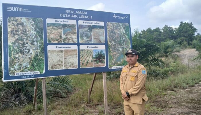 PT Timah Gandeng Pemdes Air Limau Sulap Lahan Bekas Tambang Jadi Kawasan Perkebunan 