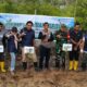 tanam mangrove