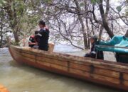 PT Timah Lepaskan Ribuan Bibit Kepiting Bakau di Perairan Kundur dan Karimun