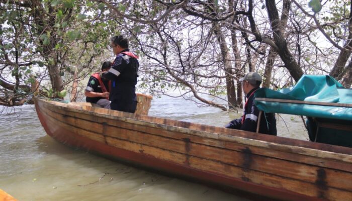 PT Timah Lepaskan Ribuan Bibit Kepiting Bakau di Perairan Kundur dan Karimun