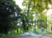Konservasi Hutan Kehati, Langkah Nyata PT Timah Menuju Keberlanjutan