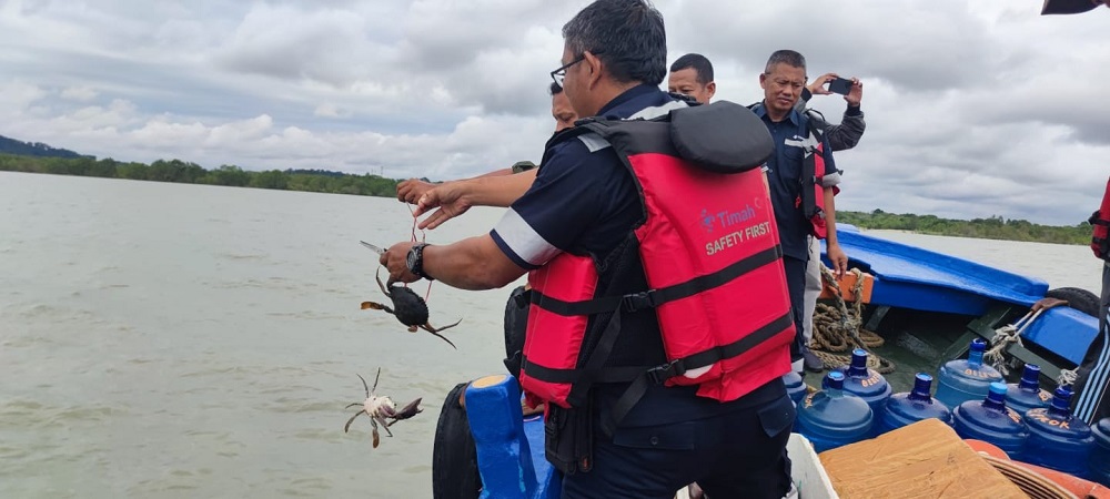 Jaga Kelestarian Kepiting