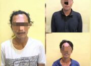 Pencurian Pasir Timah