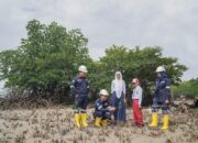 Wujudkan Aksi Nyata, PT Timah Tanam Ratusan Ribu Mangrove Dukung Target Net Zero Emission